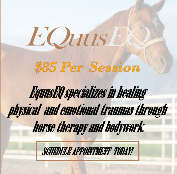 Schedule Equine Massage Therapy Session | EquusEQ