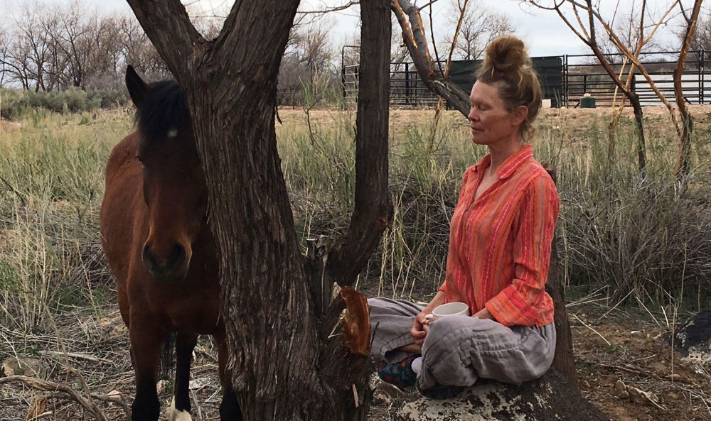 Congruency | Colorado Equine Therapy